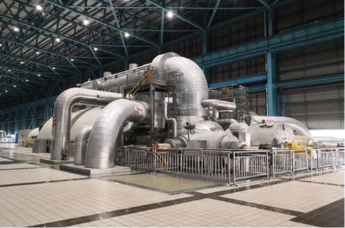 上海這五年 技術(shù)驅(qū)動(dòng)下的生態(tài)新貌與垃圾分類(lèi)新風(fēng)尚